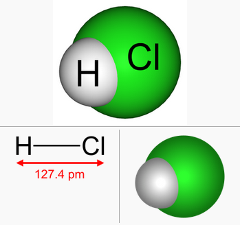 Salah satu fungsi asam klorida dalam lambung adalah