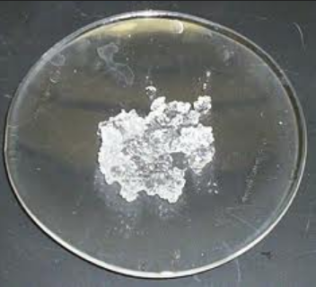 magnesium klorida