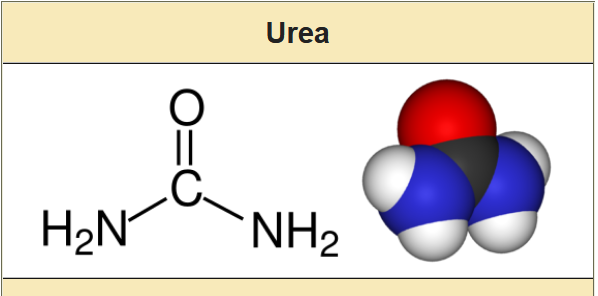 Rumus Kimia Dari Urea Adalah Data Dikdasmen 3027