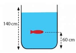 Seekor ikan berenang di akuarium ikan tersebut berada 50 cm dari permukaan akuarium berapakah tekanan hidrostatis yang diterima ikan