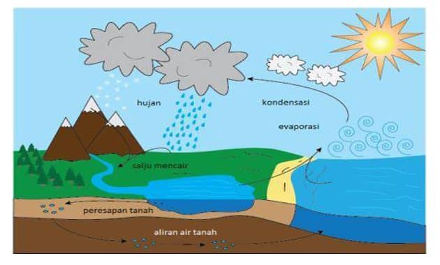 Daur Air - Pengertian, Proses, Tahapan, Gambar, & Siklusnya