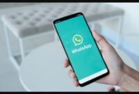 FM WhatsApp Apk Terbaru 2021