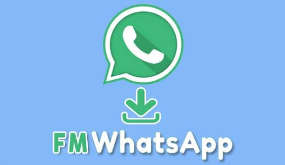 Link FM WhatsApp 8.60 Download Apk